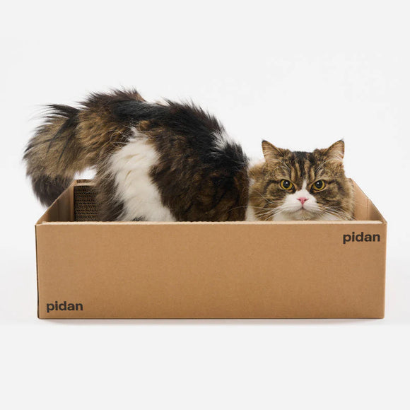 pidan - Cat Scratcher Board - Box
