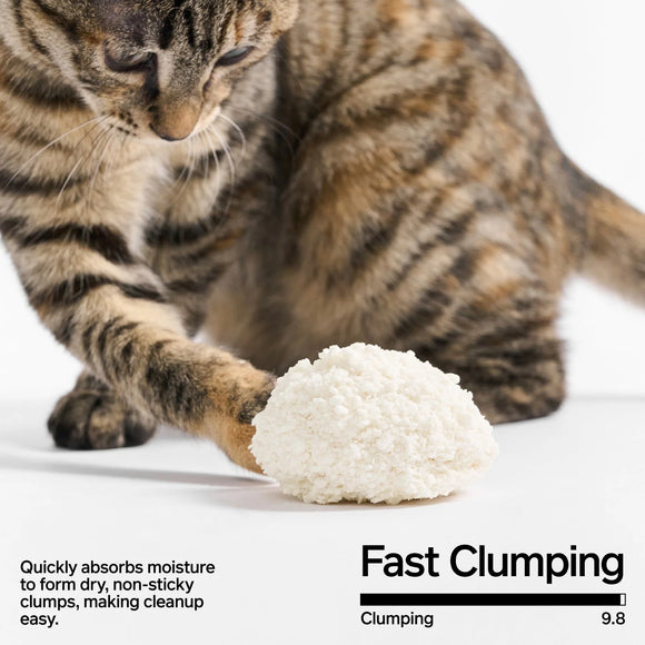 pidan - NEW! Cassava Cat Litter