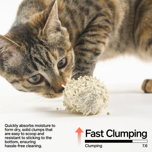 pidan - NEW! Tofu Bentonite Clay And Starch Cat Litter