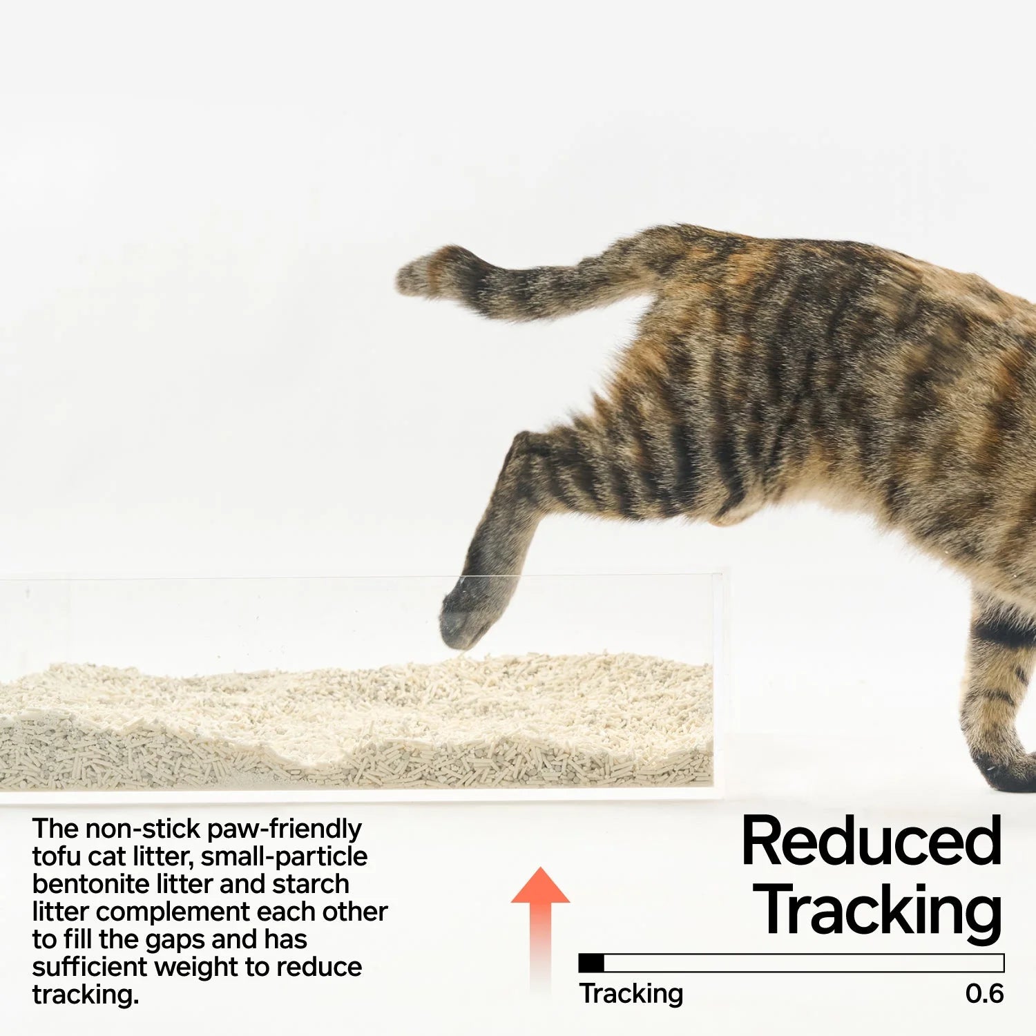 pidan - NEW! Tofu Bentonite Clay And Starch Cat Litter