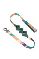 pidan - Shock Absorbing Dog Leash