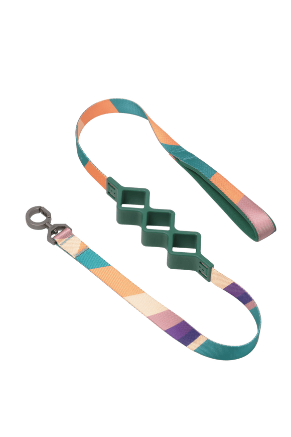 pidan - Shock Absorbing Dog Leash