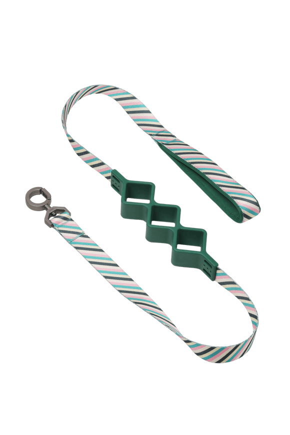 pidan - Shock Absorbing Dog Leash