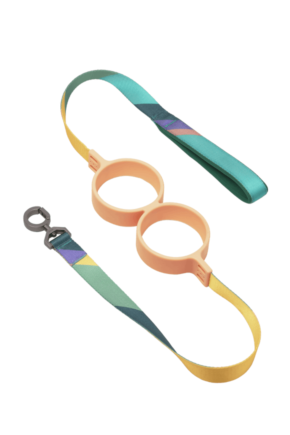 pidan - Shock Absorbing Dog Leash