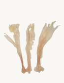 PURRFECTO - Dehydrated Beef Tendon (For Dogs)-1