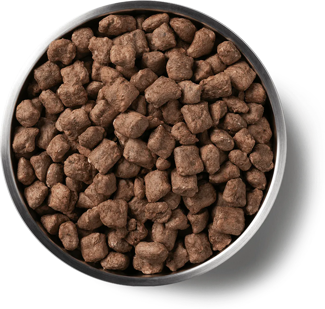 Vital Essentials (VE) - Nibs - Freeze-Dried Beef Entree (For Dogs)