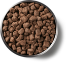 Vital Essentials (VE) - Nibs - Freeze-Dried Beef Entree (For Dogs)-3