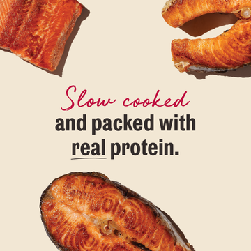 The Honest Kitchen Slow Cooked Salmon Jerky Chews features
