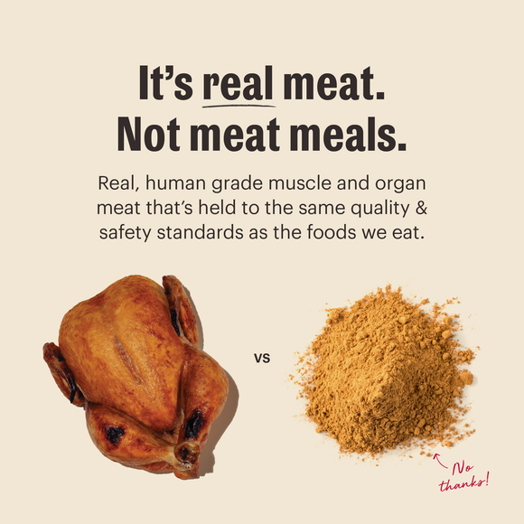 The Honest Kitchen Grain Free Chicken Protein Plus+ Clusters