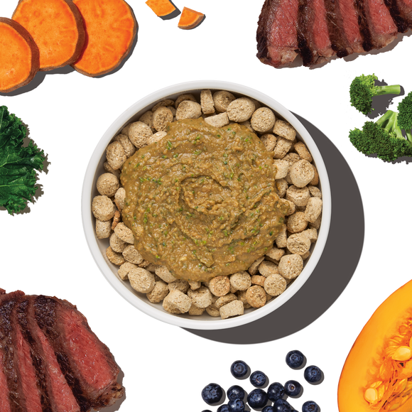 The Honest Kitchen Protein Plus+ Grain Free Beef Topper