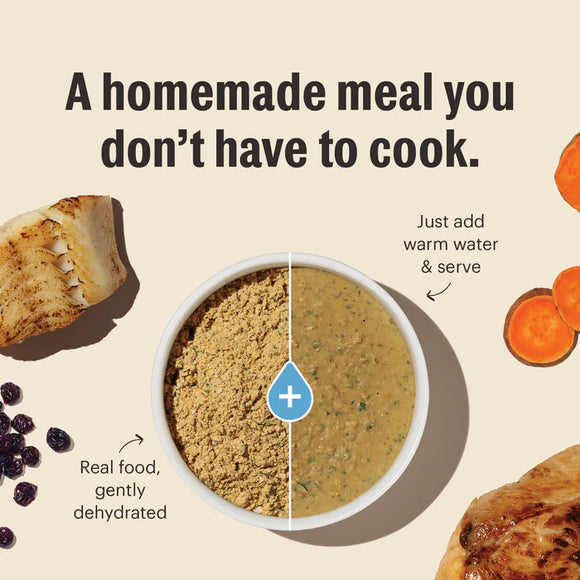 The Honest Kitchen - Dehydrated - Grain Free Chicken (Cat Food)