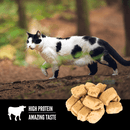 Orijen - Regional Red Freeze-Dried Treats (For Cats)