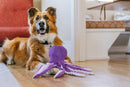 Dog playing tug with P.L.A.Y octopus toy