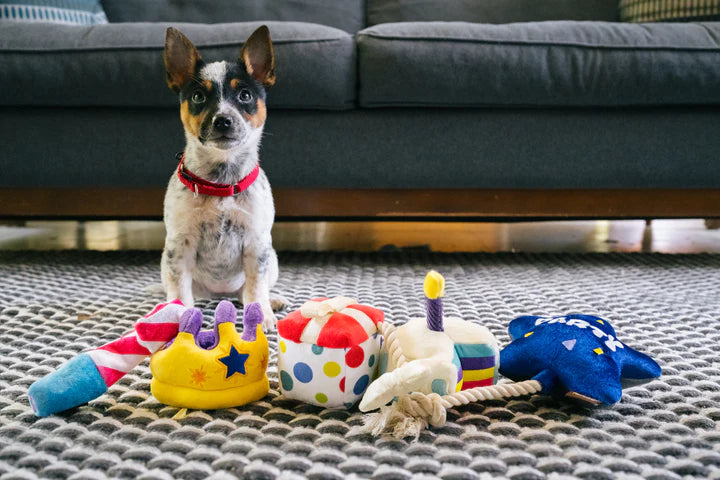 P.L.A.Y - Party Time Collection (Dog Toys)