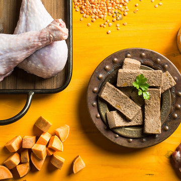 Fromm - Turkey & Duck Pâté (Wet Cat Food) - 0