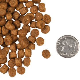 Fromm - Chicken A La Veg Recipe (Dry Cat Food)