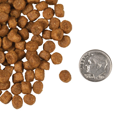 Fromm - Chicken A La Veg Recipe (Dry Cat Food)