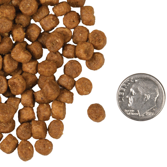 Fromm - Chicken A La Veg Recipe (Dry Cat Food)