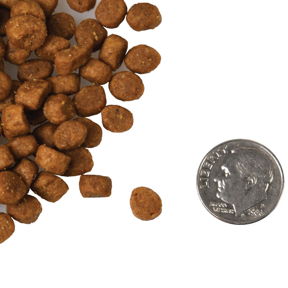 Fromm - Salmon A La Veg Recipe (Dry Cat Food)