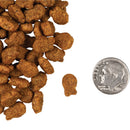 Fromm - Salmon Tunachovy Recipe (Dry Cat Food)