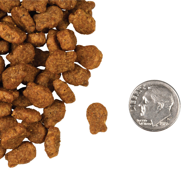 Fromm - Salmon Tunachovy Recipe (Dry Cat Food)