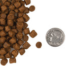 Fromm - Surf & Turf Recipe (Dry Cat Food)