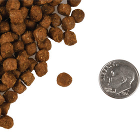 Fromm - Trout & Whitefish Recipe (Dry Cat Food)