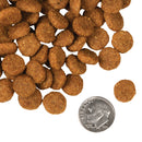 Fromm - Pork & Applesauce Formula (Dry Dog Food)