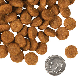 Fromm - Pork & Applesauce Formula (Dry Dog Food)