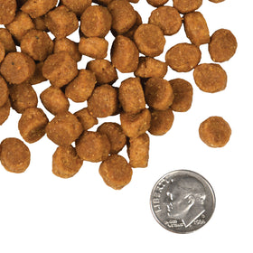 Fromm - Pork & Peas Recipe (Dry Dog Food)