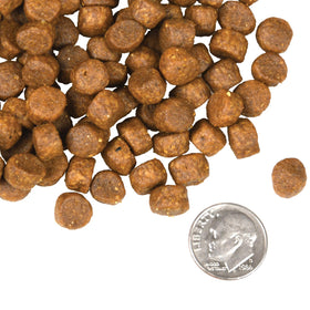 Fromm - Surf & Turf Recipe (Dry Dog Food)