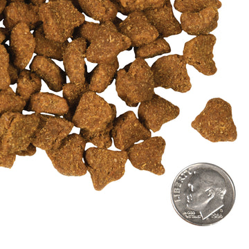Fromm - Zealambder Recipe (Dry Dog Food)