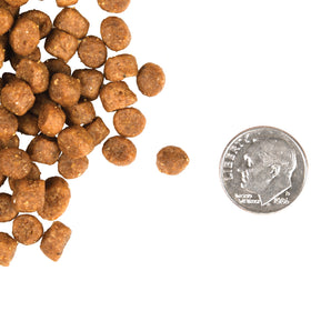 Fromm - Adult Gold (Dry Cat Food)