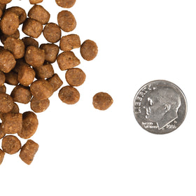 Fromm - Kitten Gold (Dry Cat Food)