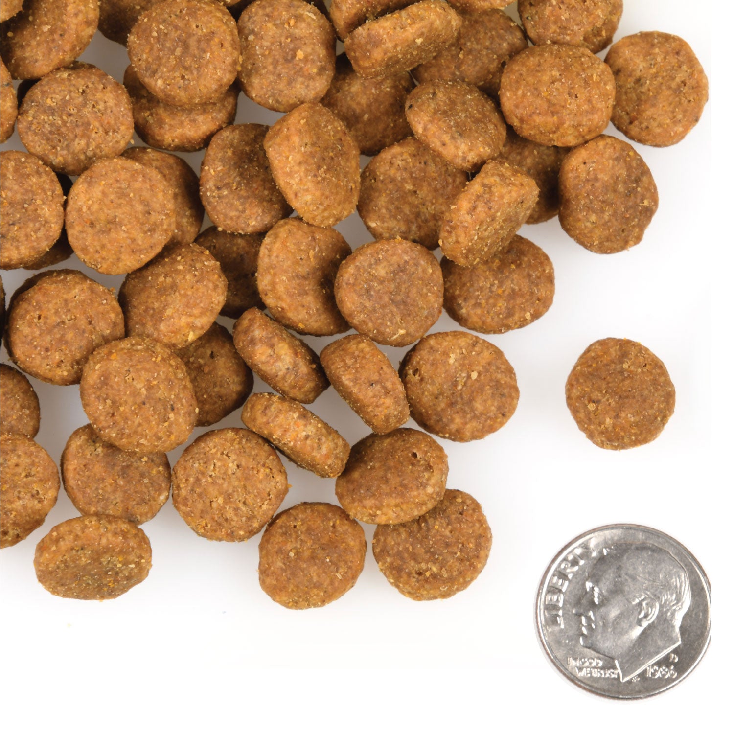 Fromm - Heartland Gold Large Breed Adult (Dry Dog Food) - ARMOR THE POOCH
