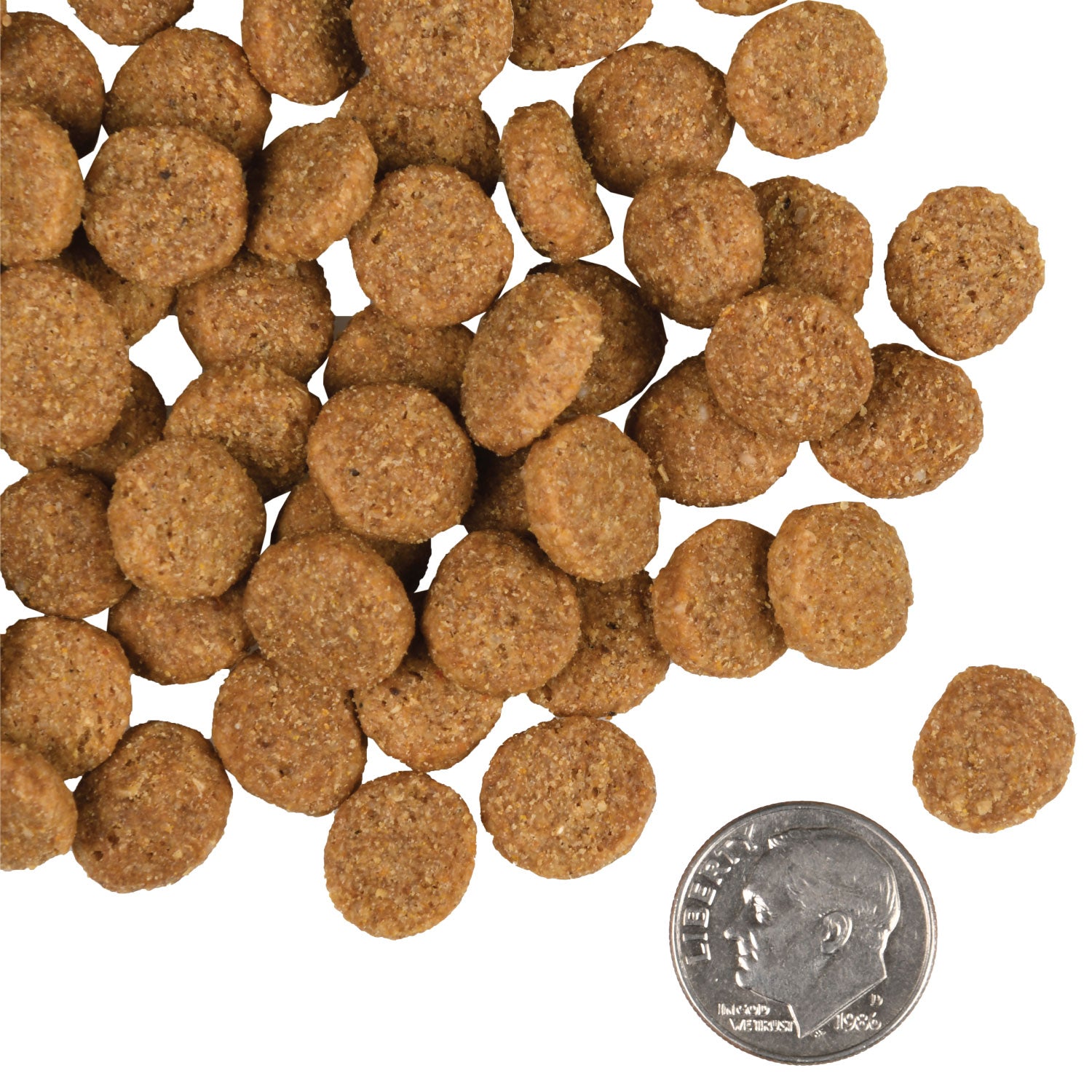 Fromm - Large Breed Adult Gold (Dry Dog Food)