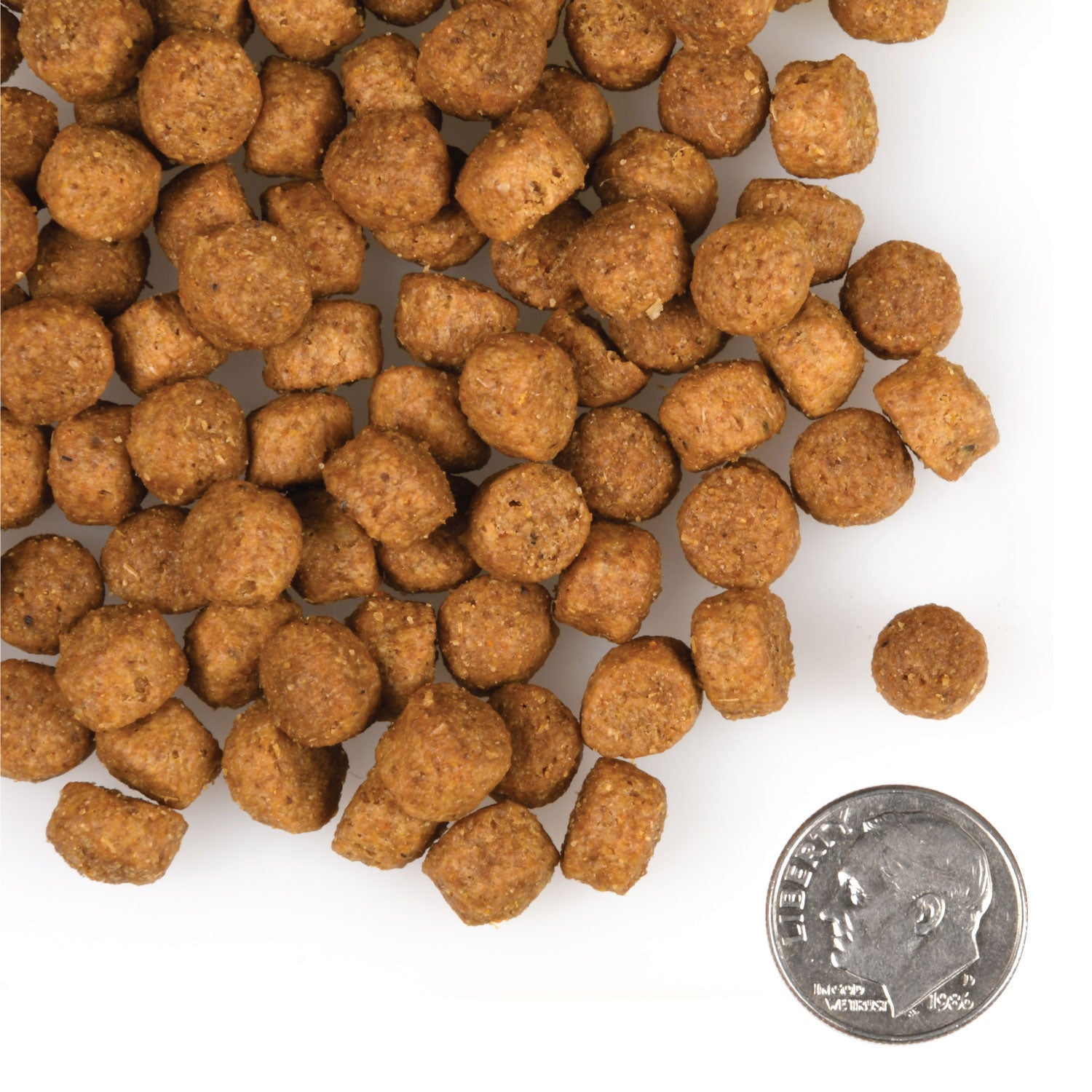 Fromm - Large Breed Puppy Gold (Dry Dog Food)