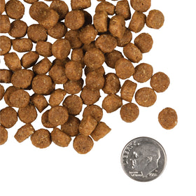 Fromm - Puppy Gold (Dry Dog Food)