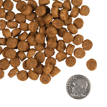 Fromm - Puppy Gold (Dry Dog Food)