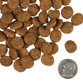 Fromm - Large Breed Weight Management Gold (Dry Dog Food)