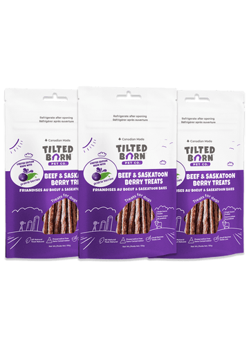 Tilted Barn (Farm Fresh) - Beef & Saskatoon Berry Treat (For Dogs)
