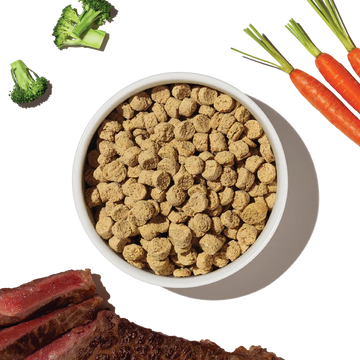 The Honest Kitchen - Whole Food Clusters - Grain Free Beef Small Breeds (Dry Dog Food)
