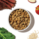 The Honest Kitchen - Whole Food Clusters - Whole Grain Beef Clusters (Dry Dog Food)