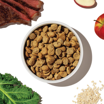 The Honest Kitchen - Whole Food Clusters - Whole Grain Beef Clusters (Dry Dog Food)