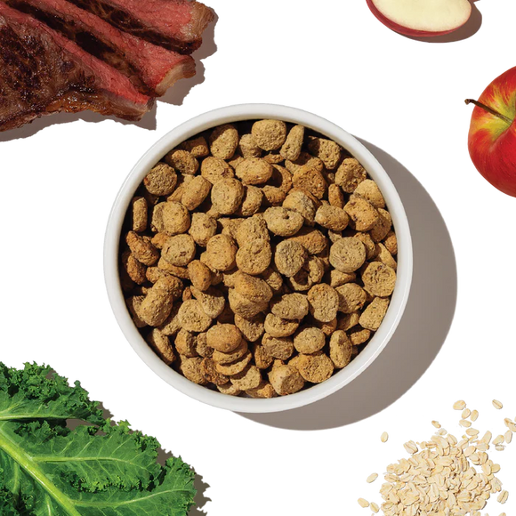 The Honest Kitchen - Whole Food Clusters - Whole Grain Beef Clusters (Dry Dog Food)