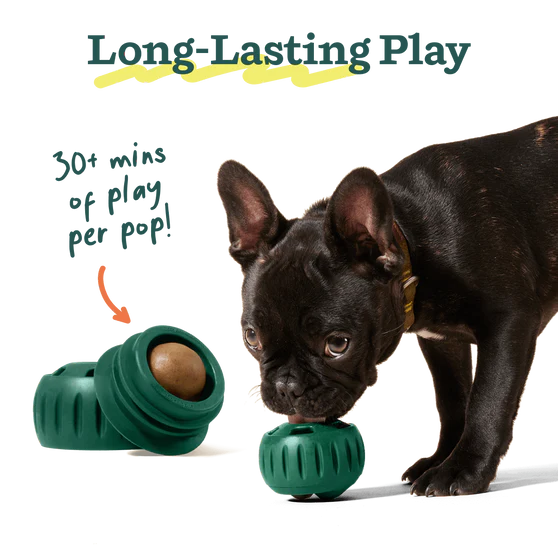 woof - Pupsicle Pops (For Dogs)