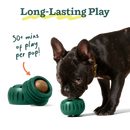 woof - Pupsicle Pops (For Dogs)