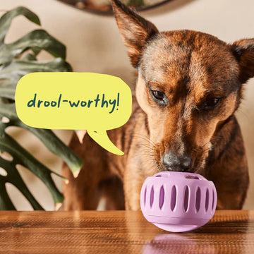 woof - Pupsicle Pops (For Dogs)