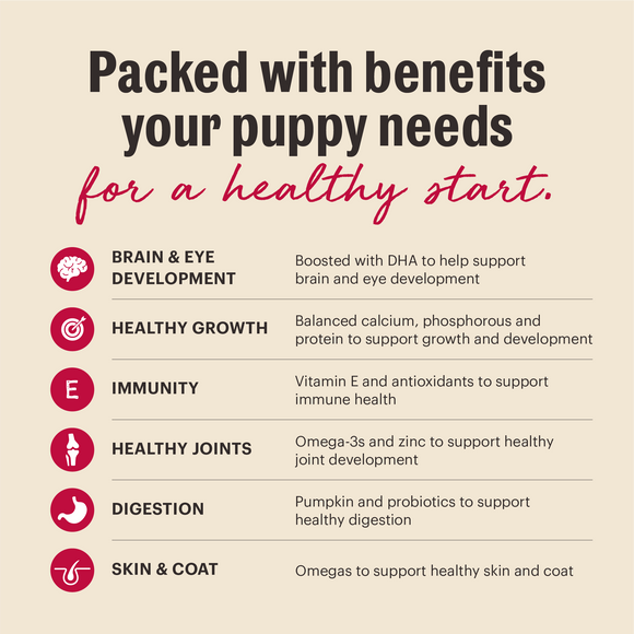 The Honest Kitchen Wholemade Whole Grain Chicken & Salmon for Puppies