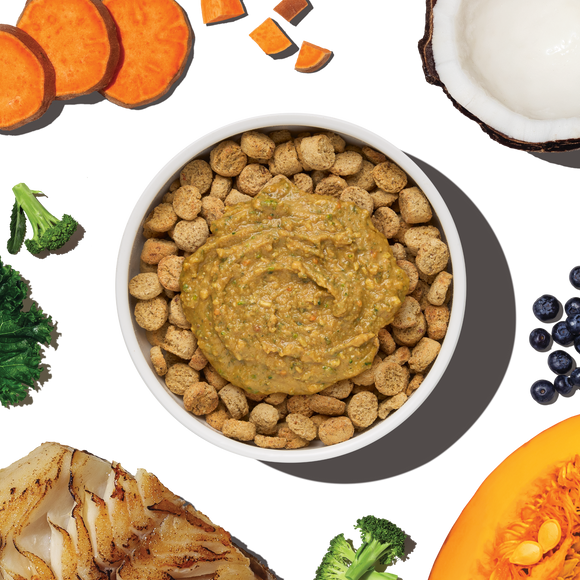The Honest Kitchen Protein Plus+ Grain Free Fish Topper